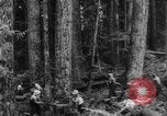 Standbild Douglas Fir Kanada, 1943, aus Sekunde 8 historischem Filmmaterial Videoclip 65675069160