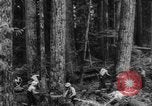 Standbild Douglas Fir Kanada, 1943, aus Sekunde 9 historischem Filmmaterial Videoclip 65675069160