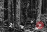 Standbild Douglas Fir Kanada, 1943, aus Sekunde 10 historischem Filmmaterial Videoclip 65675069160