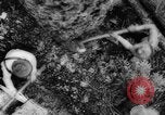 Standbild Douglas Fir Kanada, 1943, aus Sekunde 13 historischem Filmmaterial Videoclip 65675069160