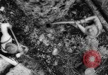 Standbild Douglas Fir Kanada, 1943, aus Sekunde 14 historischem Filmmaterial Videoclip 65675069160