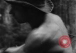 Standbild Douglas Fir Kanada, 1943, aus Sekunde 16 historischem Filmmaterial Videoclip 65675069160