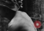 Standbild Douglas Fir Kanada, 1943, aus Sekunde 17 historischem Filmmaterial Videoclip 65675069160