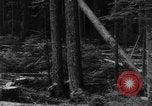 Standbild Douglas Fir Kanada, 1943, aus Sekunde 18 historischem Filmmaterial Videoclip 65675069160