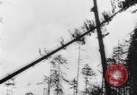 Standbild Douglas Fir Kanada, 1943, aus Sekunde 26 historischem Filmmaterial Videoclip 65675069160