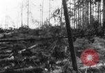 Standbild Douglas Fir Kanada, 1943, aus Sekunde 27 historischem Filmmaterial Videoclip 65675069160