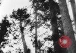 Standbild Douglas Fir Kanada, 1943, aus Sekunde 28 historischem Filmmaterial Videoclip 65675069160