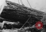 Standbild Douglas Fir Kanada, 1943, aus Sekunde 35 historischem Filmmaterial Videoclip 65675069160