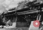 Standbild Douglas Fir Kanada, 1943, aus Sekunde 46 historischem Filmmaterial Videoclip 65675069160