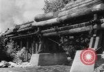 Standbild Douglas Fir Kanada, 1943, aus Sekunde 47 historischem Filmmaterial Videoclip 65675069160