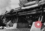 Standbild Douglas Fir Kanada, 1943, aus Sekunde 48 historischem Filmmaterial Videoclip 65675069160