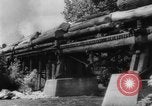 Standbild Douglas Fir Kanada, 1943, aus Sekunde 49 historischem Filmmaterial Videoclip 65675069160