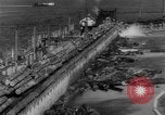 Standbild Douglas Fir Kanada, 1943, aus Sekunde 54 historischem Filmmaterial Videoclip 65675069160