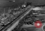 Standbild Douglas Fir Kanada, 1943, aus Sekunde 55 historischem Filmmaterial Videoclip 65675069160