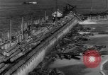 Standbild Douglas Fir Kanada, 1943, aus Sekunde 57 historischem Filmmaterial Videoclip 65675069160