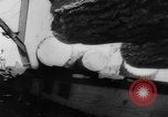 Standbild Douglas Fir Kanada, 1943, aus Sekunde 59 historischem Filmmaterial Videoclip 65675069160