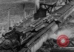 Standbild Douglas Fir Kanada, 1943, aus Sekunde 60 historischem Filmmaterial Videoclip 65675069160