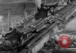 Standbild Douglas Fir Kanada, 1943, aus Sekunde 61 historischem Filmmaterial Videoclip 65675069160
