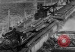 Standbild Douglas Fir Kanada, 1943, aus Sekunde 62 historischem Filmmaterial Videoclip 65675069160