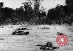 Image of Chinese troops Burma, 1943, second 25 stock footage video 65675069162