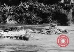 Image of Chinese troops Burma, 1943, second 32 stock footage video 65675069162