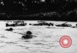 Image of Chinese troops Burma, 1943, second 37 stock footage video 65675069162