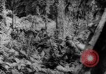 Image of Chinese troops Burma, 1943, second 43 stock footage video 65675069162