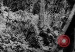 Image of Chinese troops Burma, 1943, second 45 stock footage video 65675069162