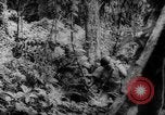 Image of Chinese troops Burma, 1943, second 46 stock footage video 65675069162