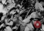 Image of Chinese troops Burma, 1943, second 50 stock footage video 65675069162