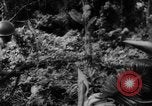 Image of Chinese troops Burma, 1943, second 60 stock footage video 65675069162