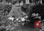 Standbild Formosan Frauen Formosa Taiwan, 1945, aus Sekunde 14 historischem Filmmaterial Videoclip 65675069165