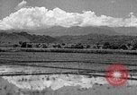 Standbild Holzplatz Formosa Taiwan, 1945, aus Sekunde 11 historischem Filmmaterial Videoclip 65675069166