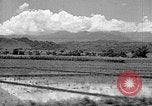 Standbild Holzplatz Formosa Taiwan, 1945, aus Sekunde 12 historischem Filmmaterial Videoclip 65675069166