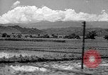 Standbild Holzplatz Formosa Taiwan, 1945, aus Sekunde 13 historischem Filmmaterial Videoclip 65675069166