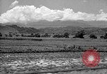 Standbild Holzplatz Formosa Taiwan, 1945, aus Sekunde 14 historischem Filmmaterial Videoclip 65675069166