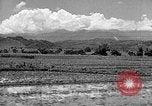 Standbild Holzplatz Formosa Taiwan, 1945, aus Sekunde 15 historischem Filmmaterial Videoclip 65675069166
