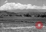 Standbild Holzplatz Formosa Taiwan, 1945, aus Sekunde 16 historischem Filmmaterial Videoclip 65675069166
