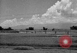 Standbild Holzplatz Formosa Taiwan, 1945, aus Sekunde 18 historischem Filmmaterial Videoclip 65675069166