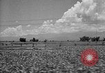 Standbild Holzplatz Formosa Taiwan, 1945, aus Sekunde 20 historischem Filmmaterial Videoclip 65675069166