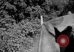 Immagine di Un treno Formosa Taiwan, 1945, secondo 31 filmato di repertorio 65675069167