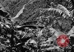 Immagine di Un treno Formosa Taiwan, 1945, secondo 42 filmato di repertorio 65675069167