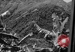 Immagine di Un treno Formosa Taiwan, 1945, secondo 45 filmato di repertorio 65675069167