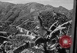 Immagine di Un treno Formosa Taiwan, 1945, secondo 46 filmato di repertorio 65675069167