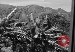 Immagine di Un treno Formosa Taiwan, 1945, secondo 47 filmato di repertorio 65675069167