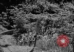 Immagine di Un treno Formosa Taiwan, 1945, secondo 51 filmato di repertorio 65675069167