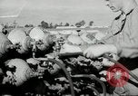 Standbild barrage Balloons North Carolina United States USA, 1941, aus Sekunde 14 historischem Filmmaterial Videoclip 65675069169