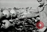 Standbild barrage Balloons North Carolina United States USA, 1941, aus Sekunde 15 historischem Filmmaterial Videoclip 65675069169