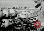 Standbild barrage Balloons North Carolina United States USA, 1941, aus Sekunde 16 historischem Filmmaterial Videoclip 65675069169