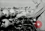 Standbild barrage Balloons North Carolina United States USA, 1941, aus Sekunde 17 historischem Filmmaterial Videoclip 65675069169